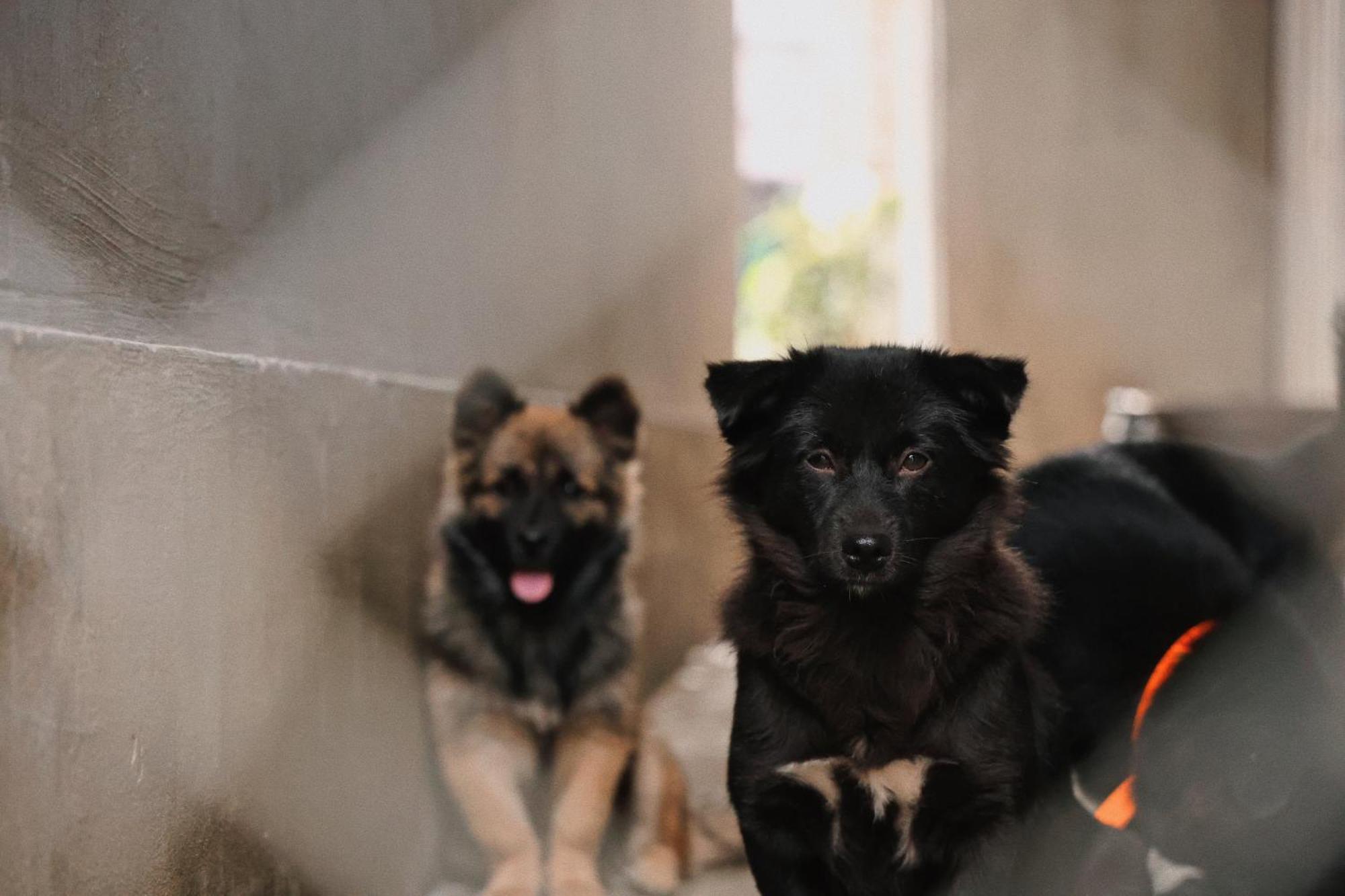 Susu Homestay Hue Thon Kim Long Экстерьер фото